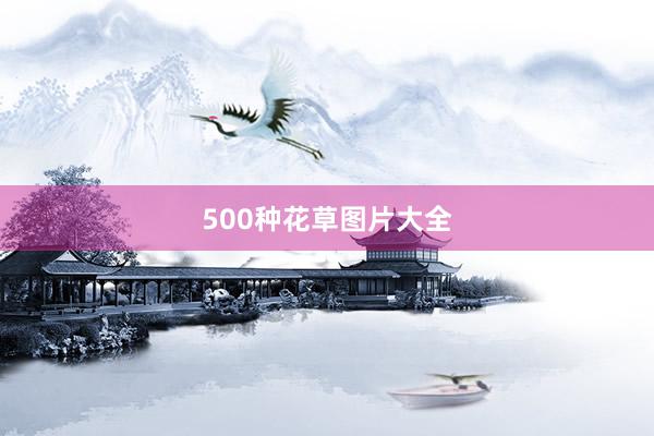 500种花草图片大全